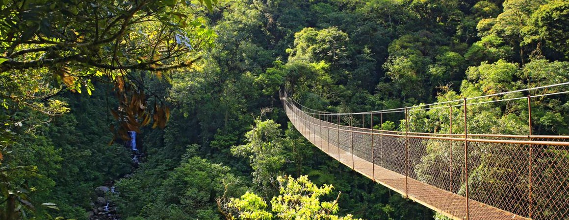 Tierras Altas de Panamá Boquete Bienes Raíces